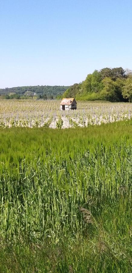 Le Clos De La Chesneraie Saint-Georges-sur-Cher Exterior foto